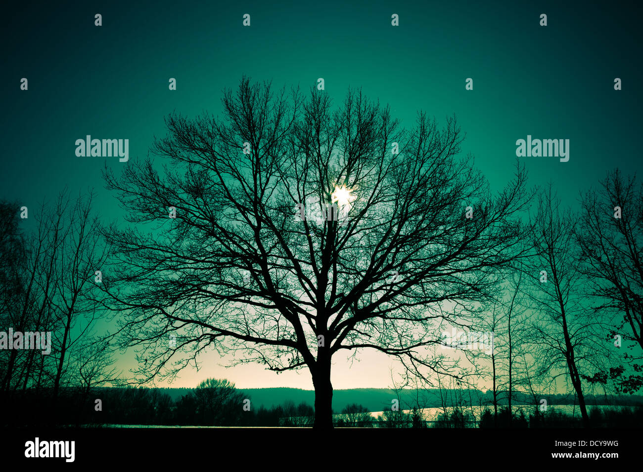 Rising sun in background hi-res stock photography and images - Alamy