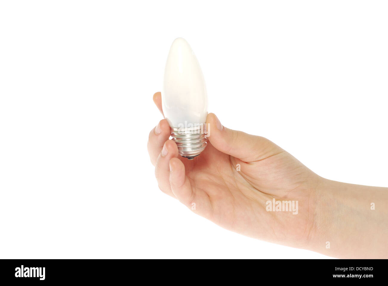 hand holding bulb Stock Photo