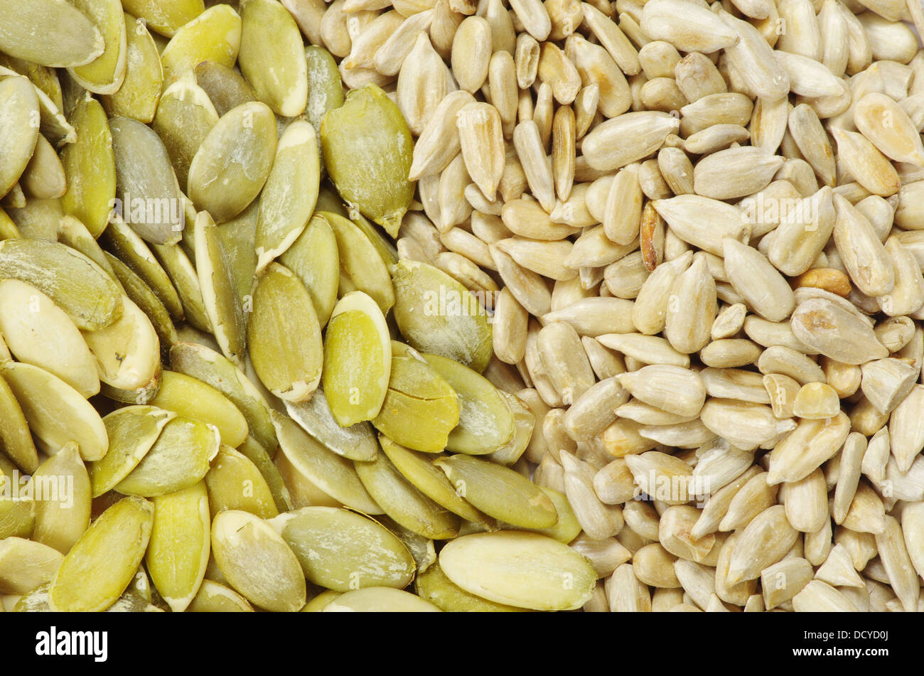 Тыквенные и подсолнечные семечки. Тыквенные и подсолнечные семечки. Семена подсолнечника тыквы и кунжута. Тыквенные и подсолнечные семечки. Тыквенные и подсолнечные семечки.