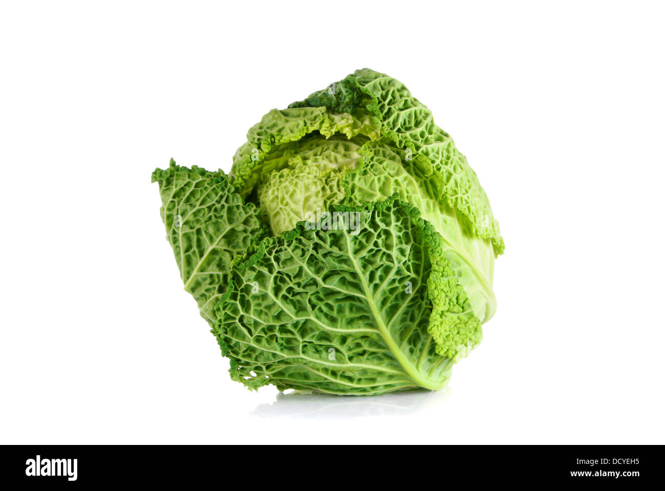 Savoy Cabbage over white background Stock Photo