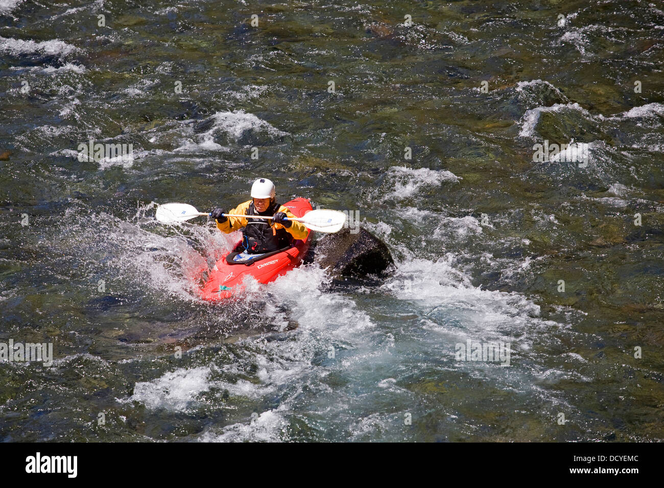 White water rafters on the Upper McKenzie River in the Oregon Cascade Mountains Stock Photo