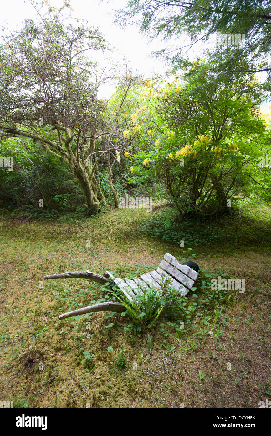 Old Wooden Wheelbarrow In Cougar Annie's Garden; Boat Basin, Vancouver Island, British Columbia, Canada Stock Photo