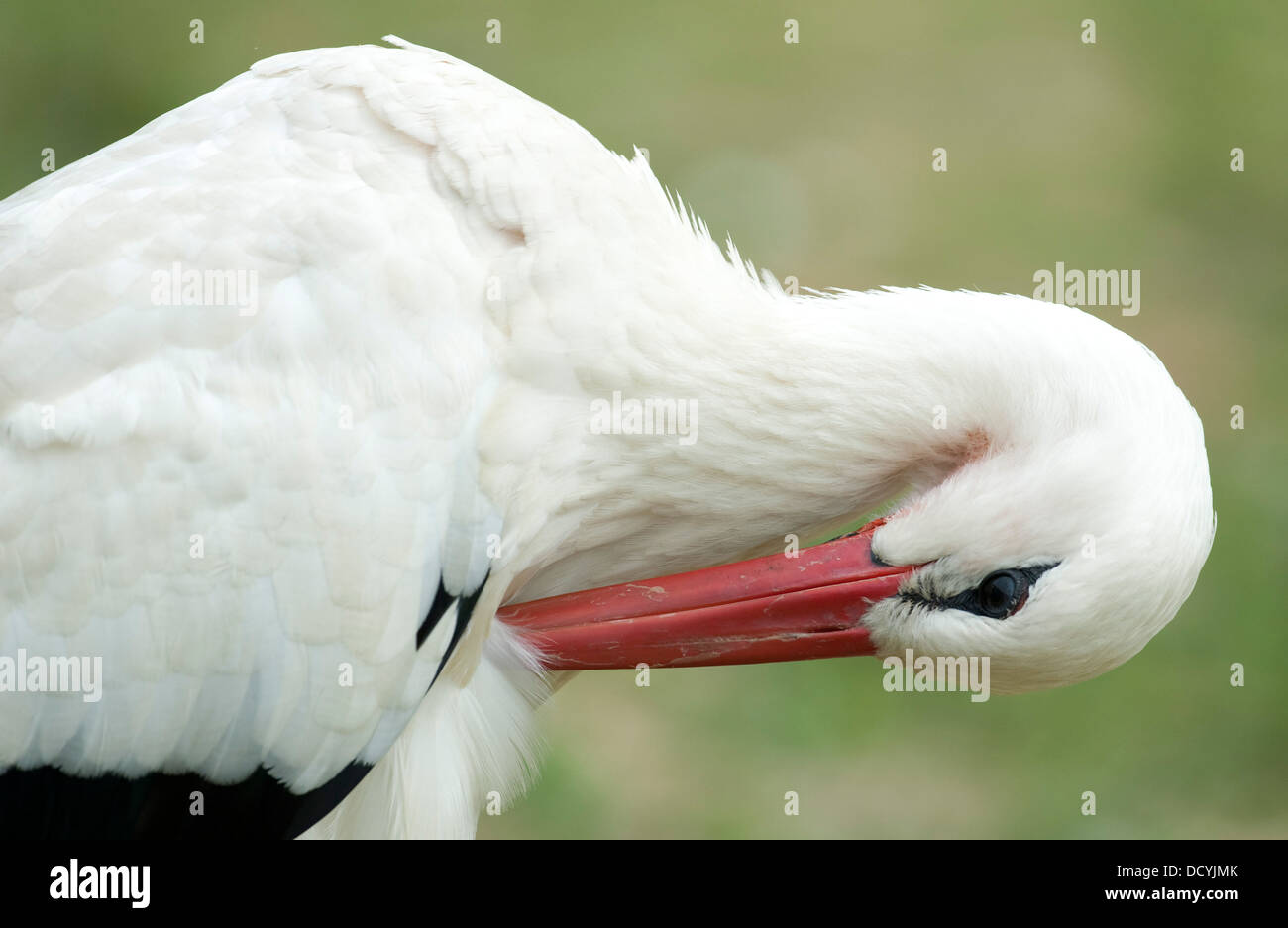 white wedding shoes size 4