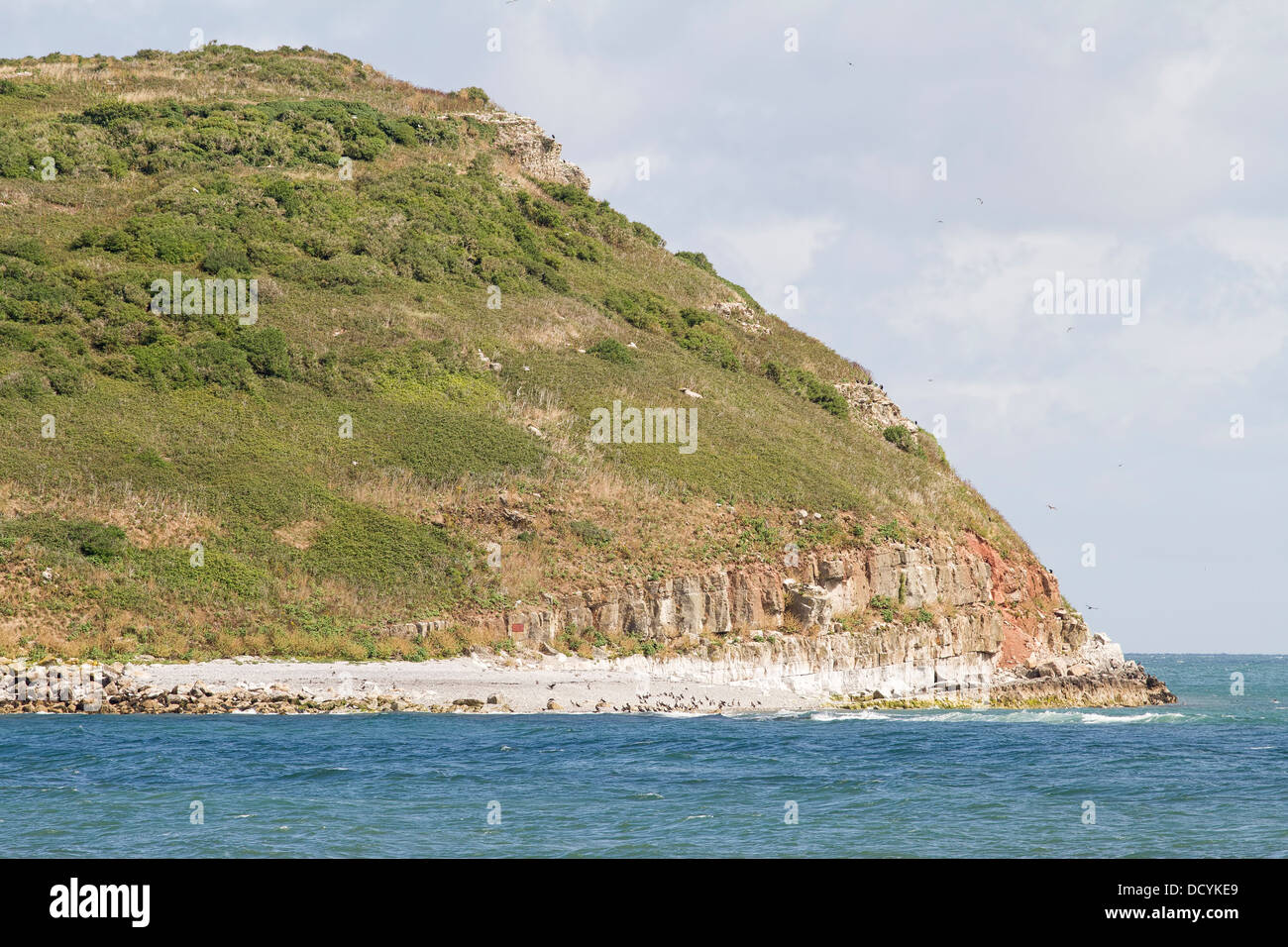 Puffin Island in Anglesey, North Wales Stock Photo Alamy