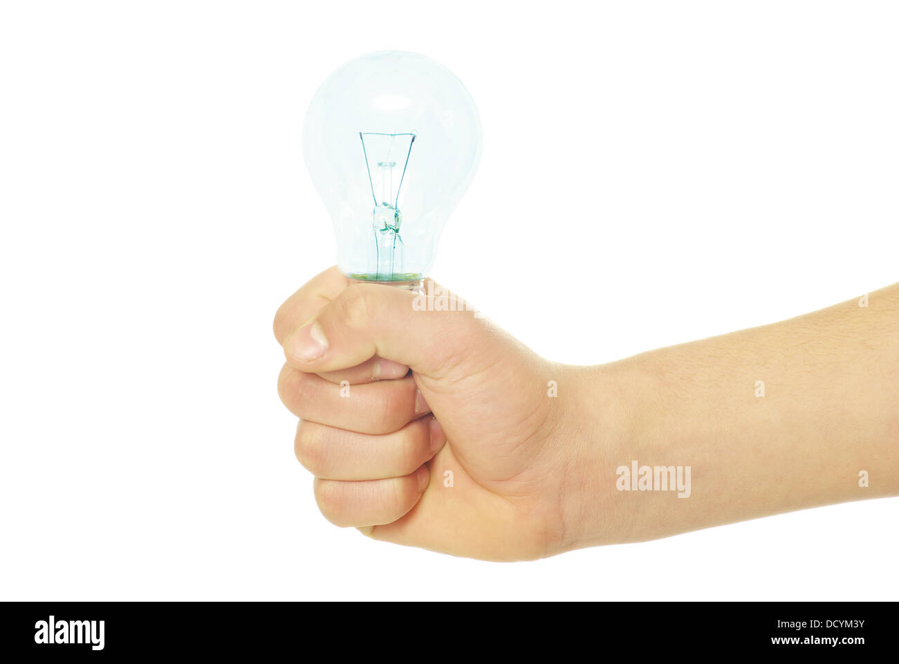 hand holding bulb Stock Photo