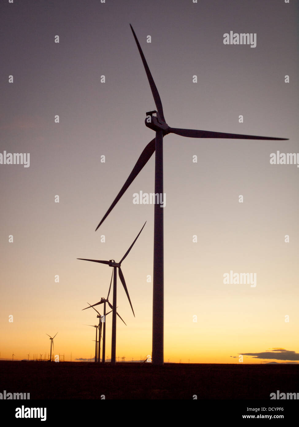 Wind turbines farm at sunset in Limon, Colorado Stock Photo Alamy