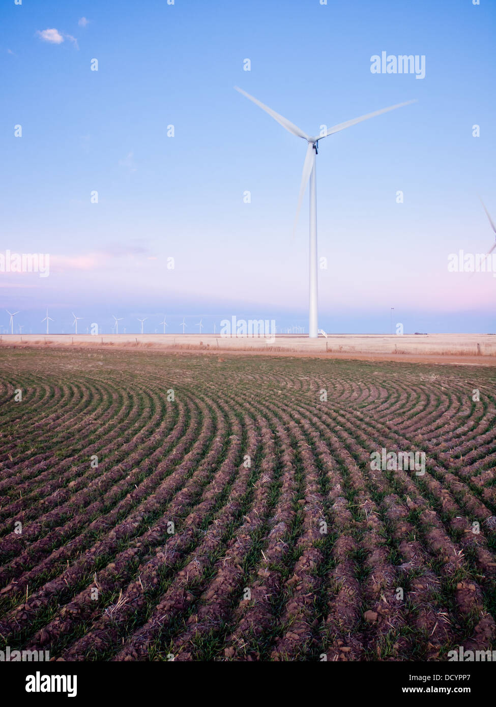 Wind turbines farm at sunset in Limon, Colorado Stock Photo Alamy