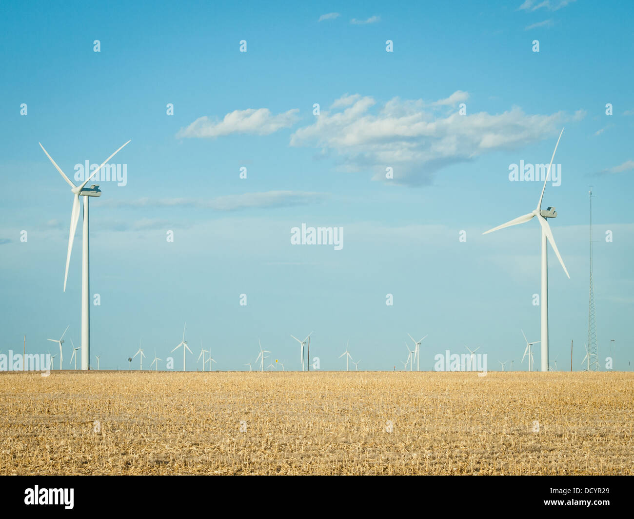 Wind turbines farm at sunset in Limon, Colorado Stock Photo Alamy