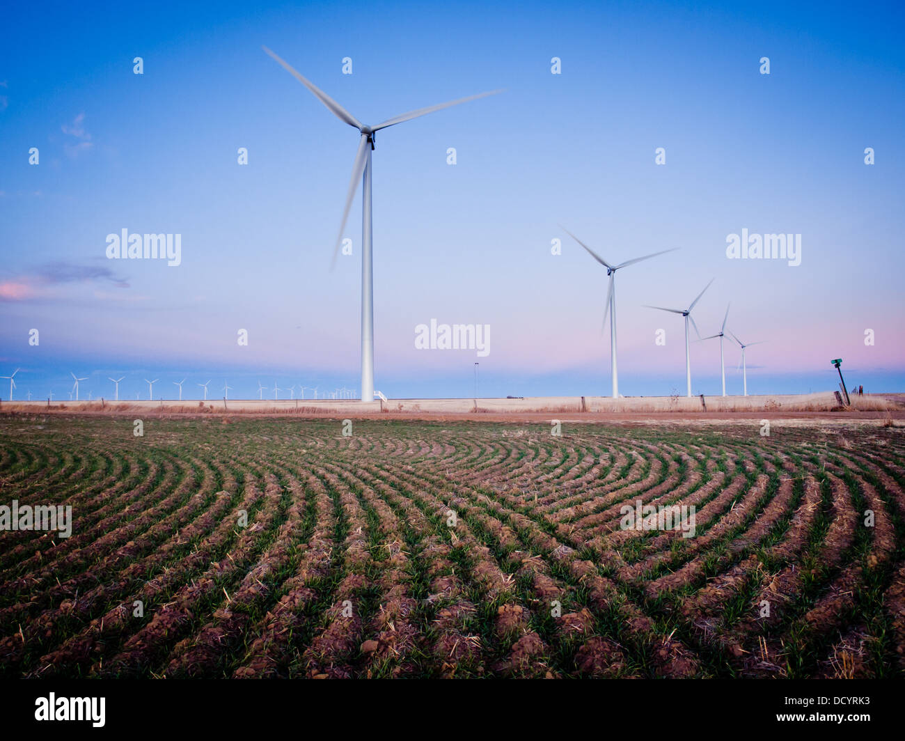Wind turbines farm at sunset in Limon, Colorado Stock Photo Alamy