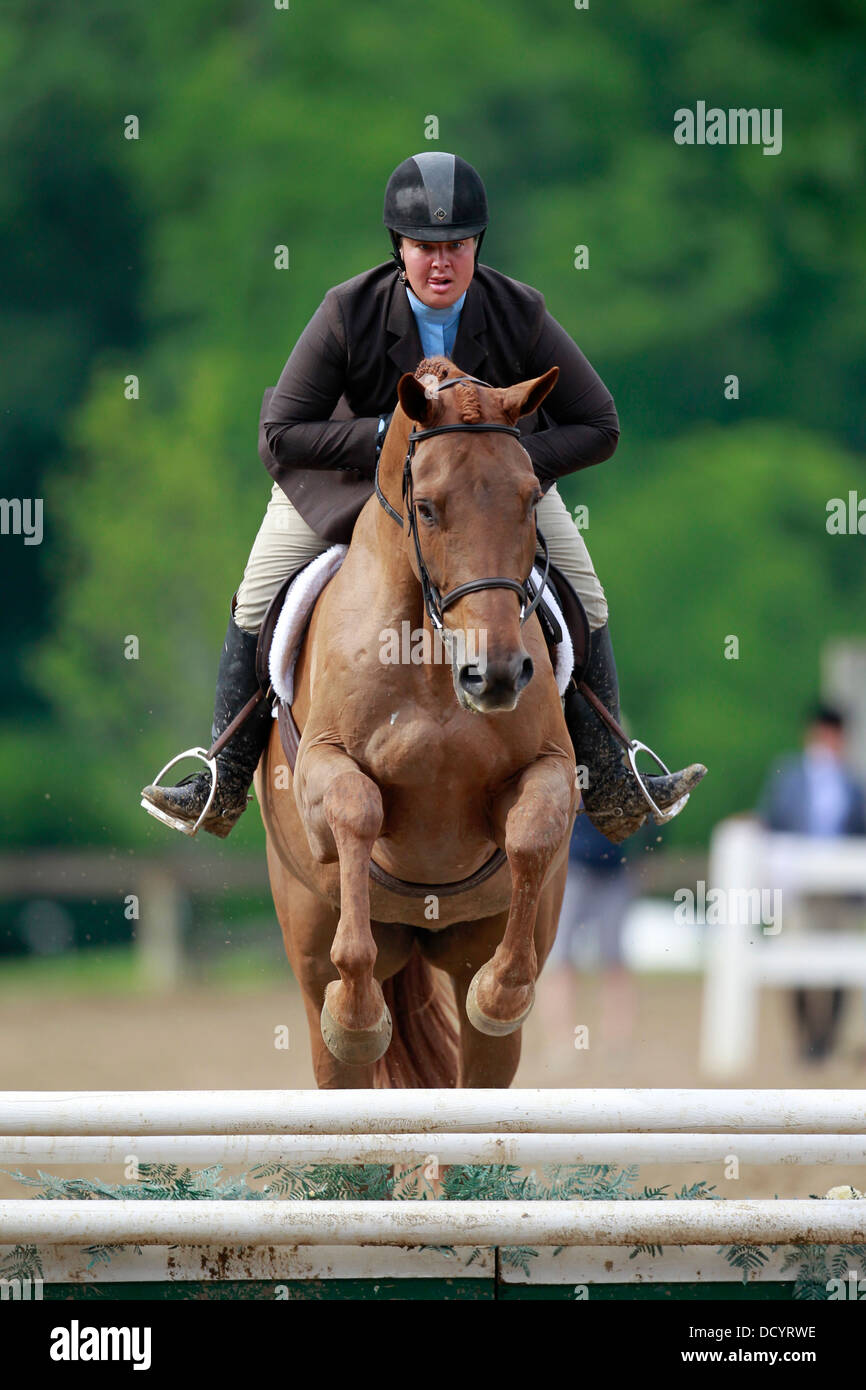 A horse and rider jumping a fence at a horse show Stock Photo - Alamy
