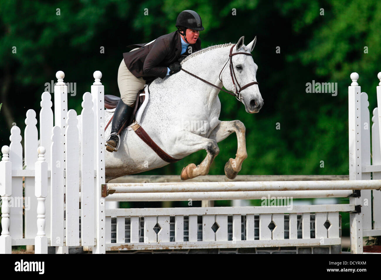Woman horseback rider jumping horse hi-res stock photography and images ...