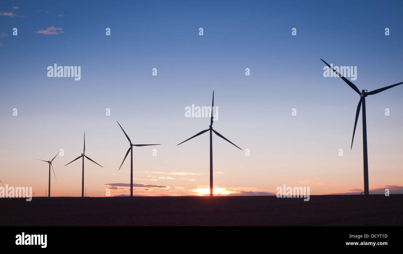 Wind turbines farm at sunset in Limon, Colorado Stock Photo Alamy
