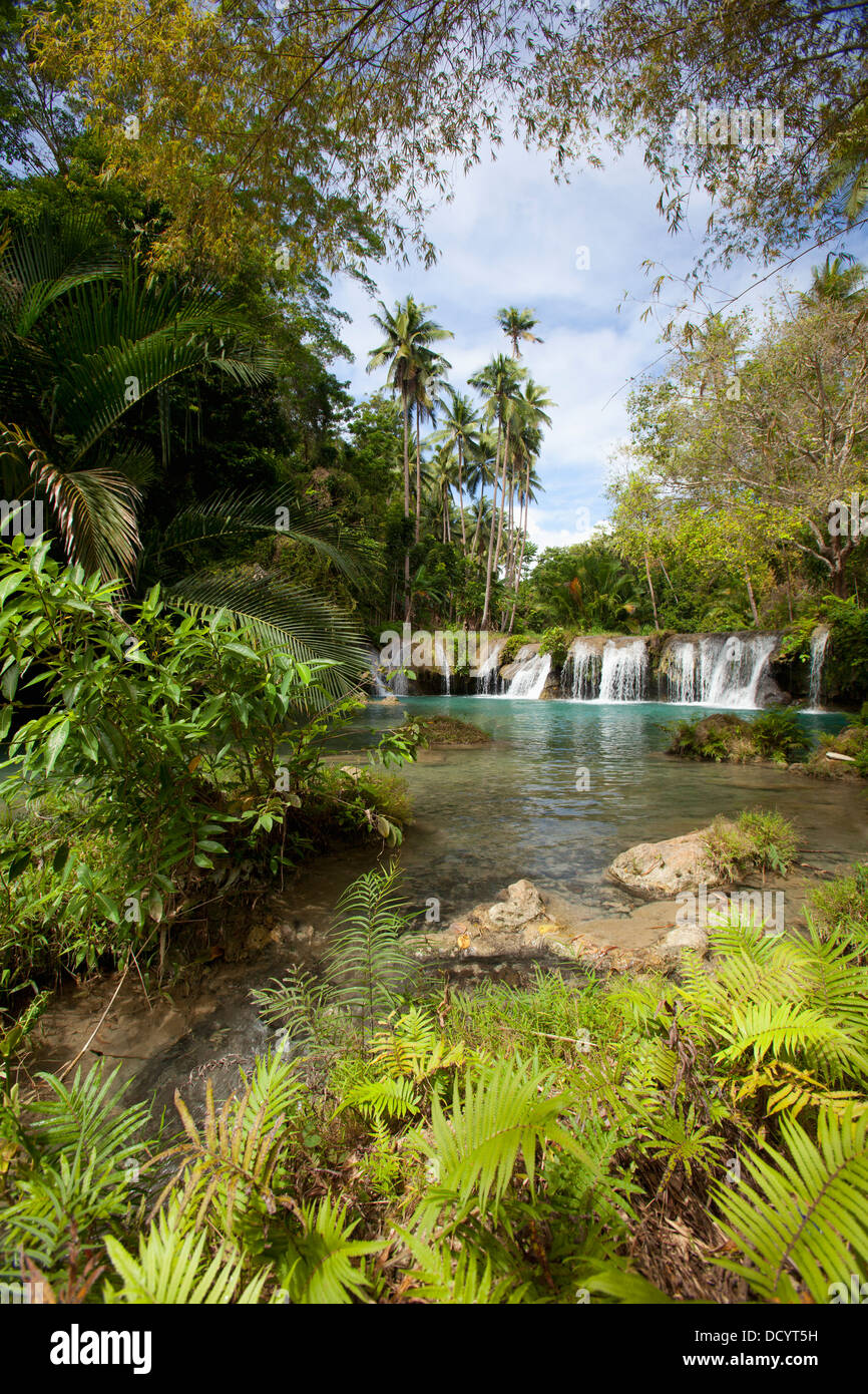 Tranquil Waterfall Scenic; Cambugahay Falls, Siquijor, Philippines Stock Photo