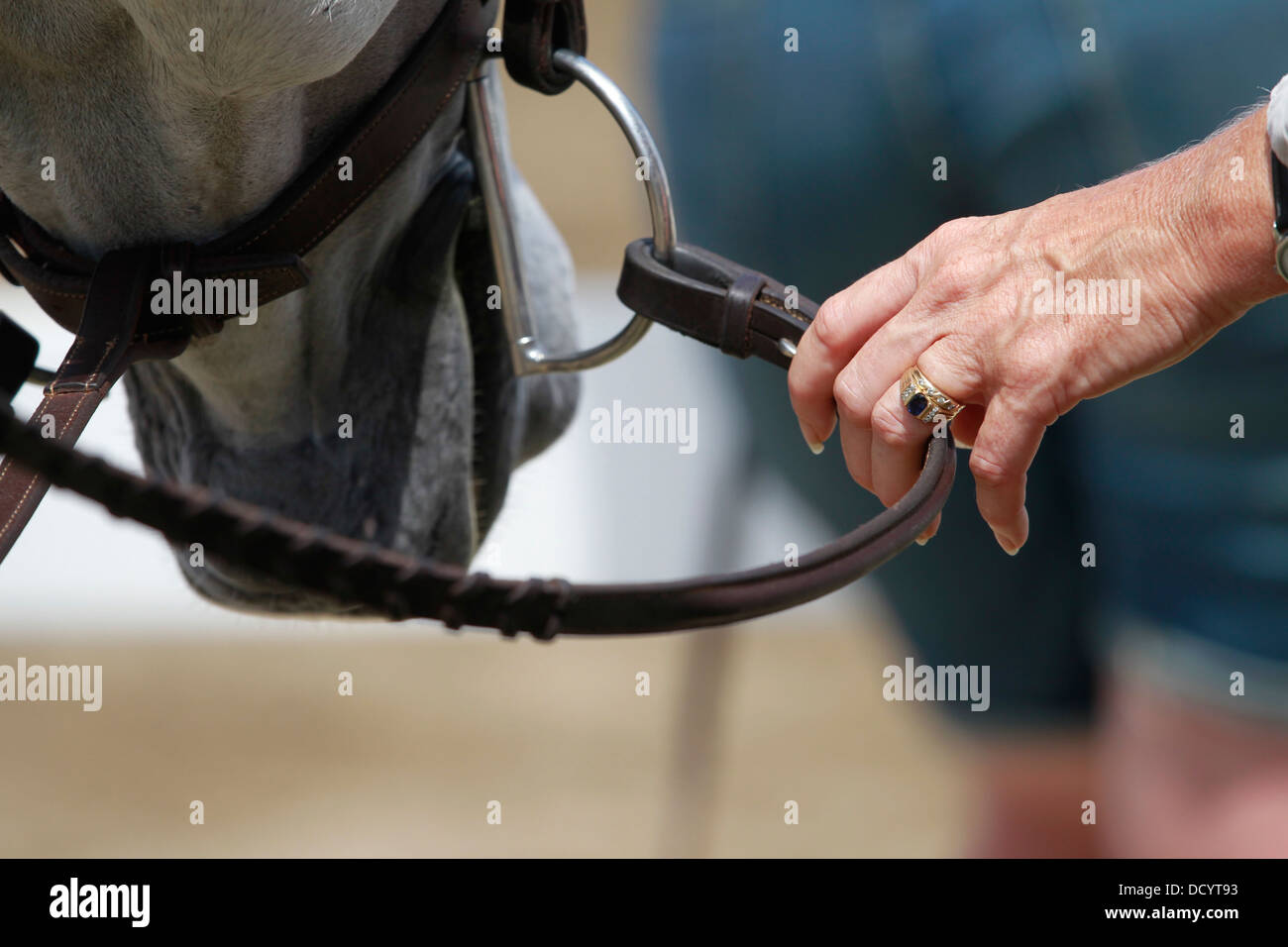 A close-up image of a woman's hand holding the reins of a horse. Stock Photo