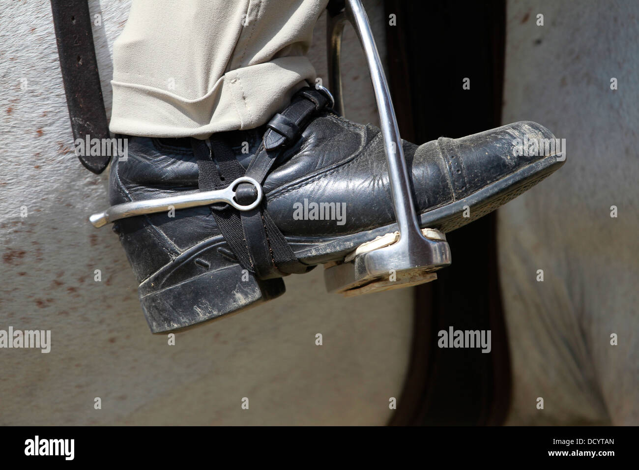 Riding boot with spur hi-res stock photography and images - Alamy