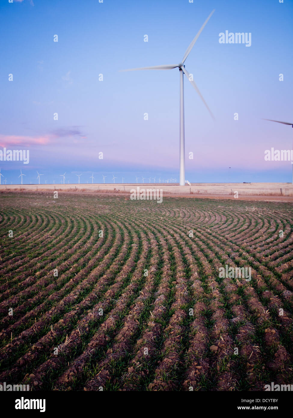 Wind turbines farm at sunset in Limon, Colorado Stock Photo Alamy