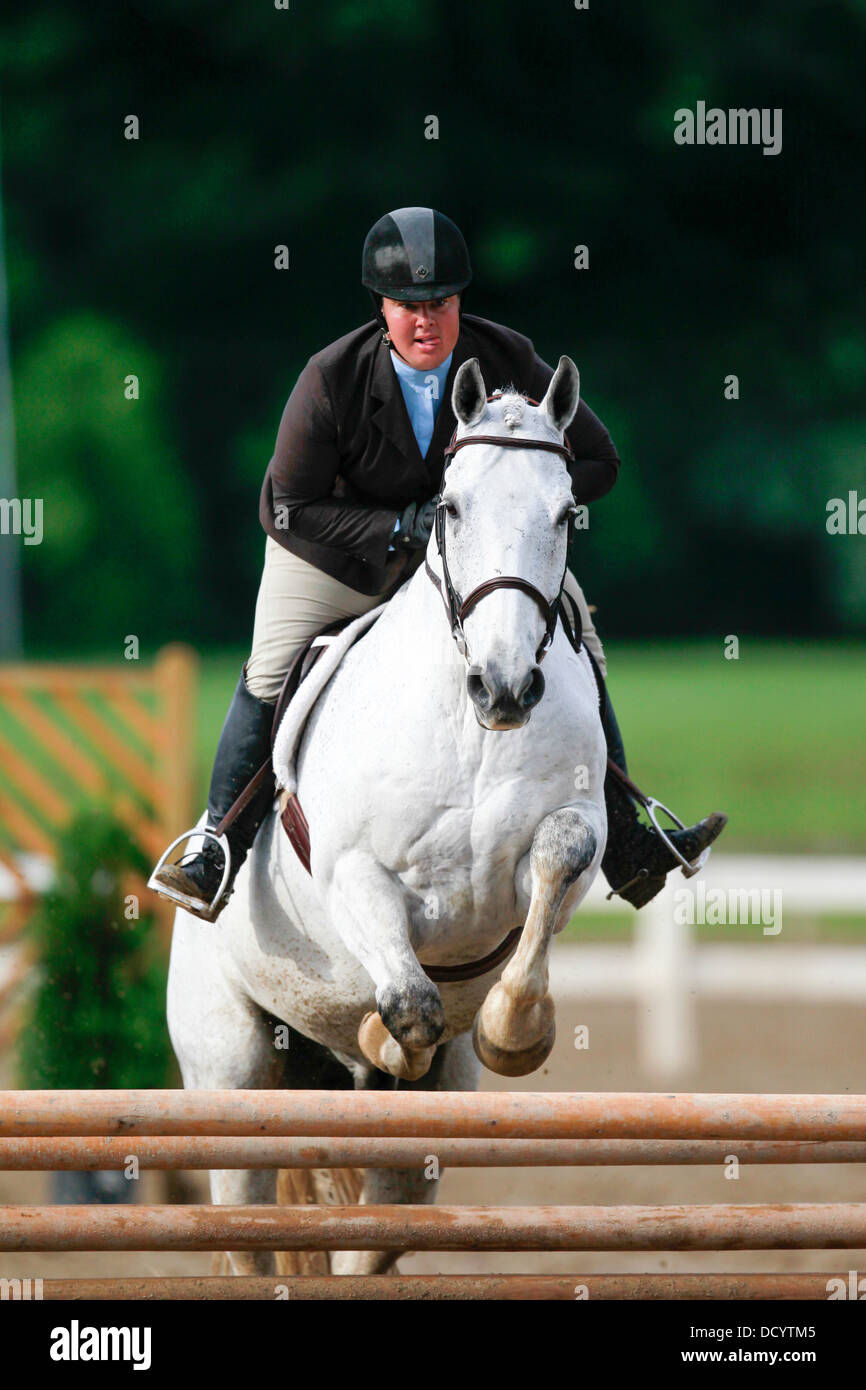 A horse and rider jumping a fence at a horse show Stock Photo - Alamy