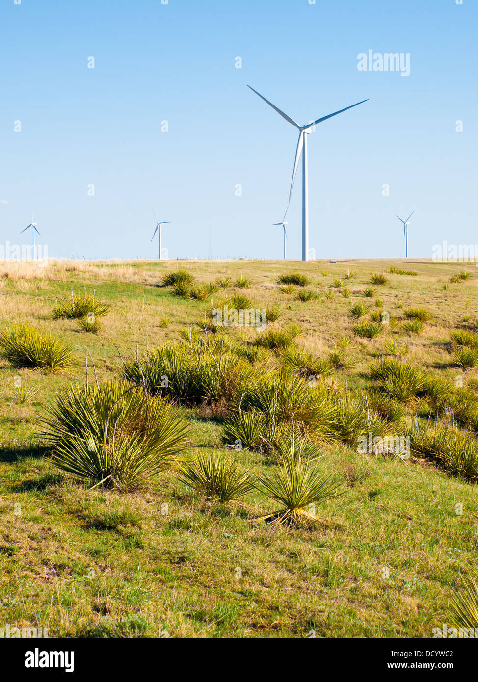 Wind turbines farm in Limon, Colorado Stock Photo Alamy