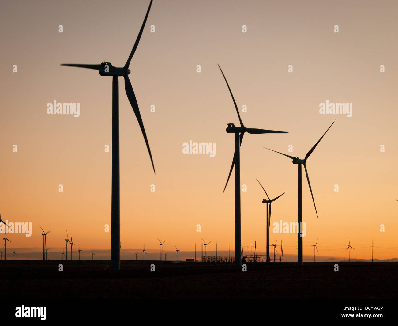 Wind turbines farm at sunset in Limon, Colorado Stock Photo Alamy