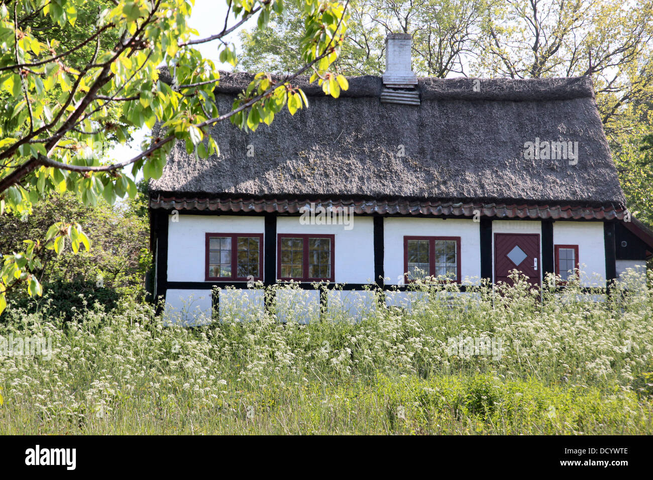 Idyllic country cottage with spring meadow on Bornholm, Denmark Stock Photo