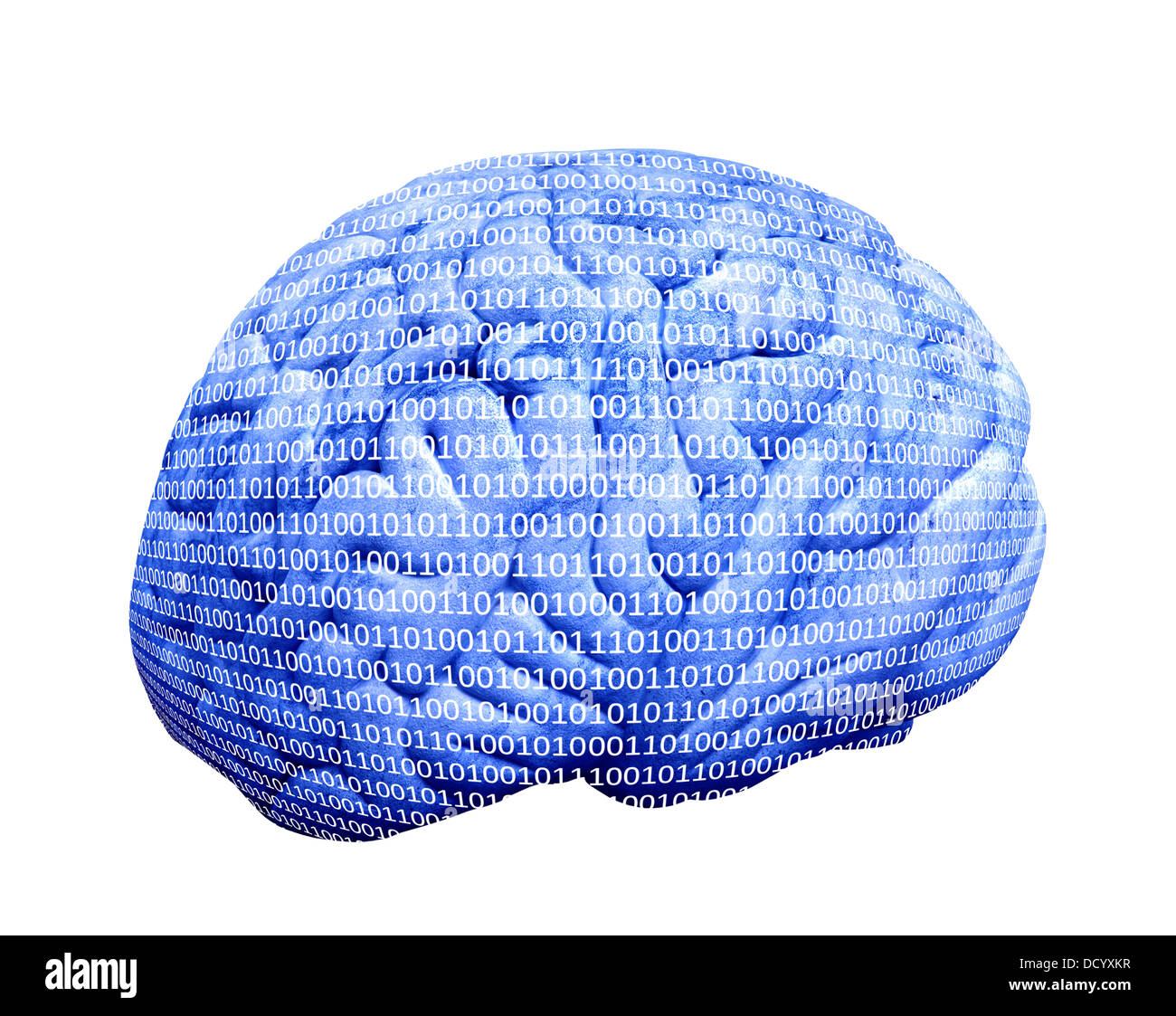 Brain code hires stock photography and images Alamy