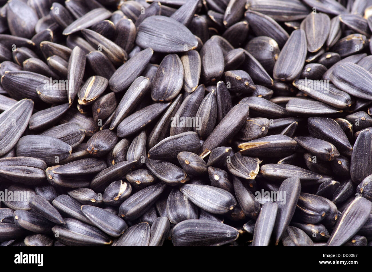 Black salty sunflower seeds hi-res stock photography and images - Alamy
