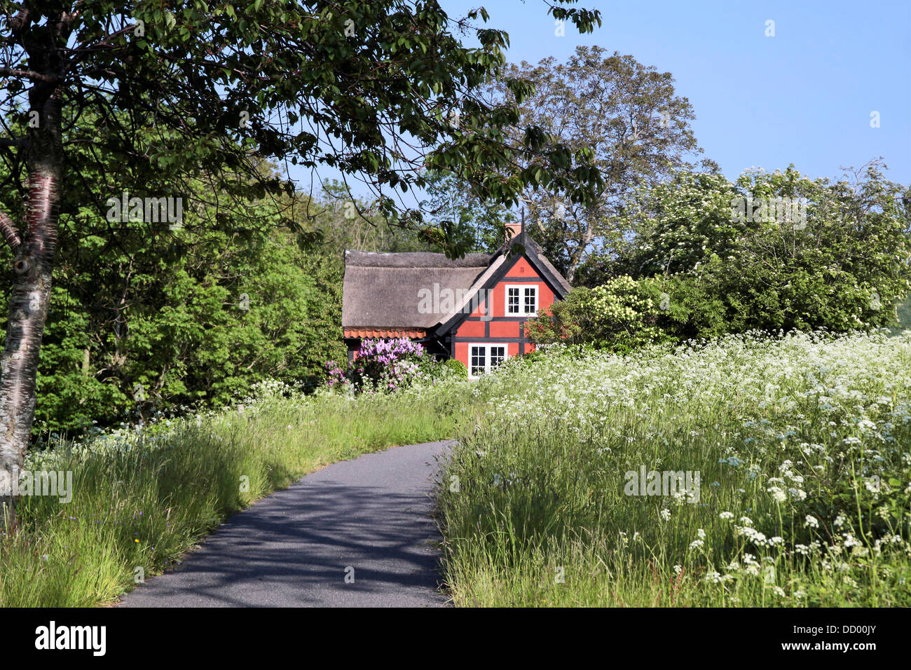 Design#45 Cottage Beach Bornholm Denmark Stock Photos u0026 Cottage Beach 