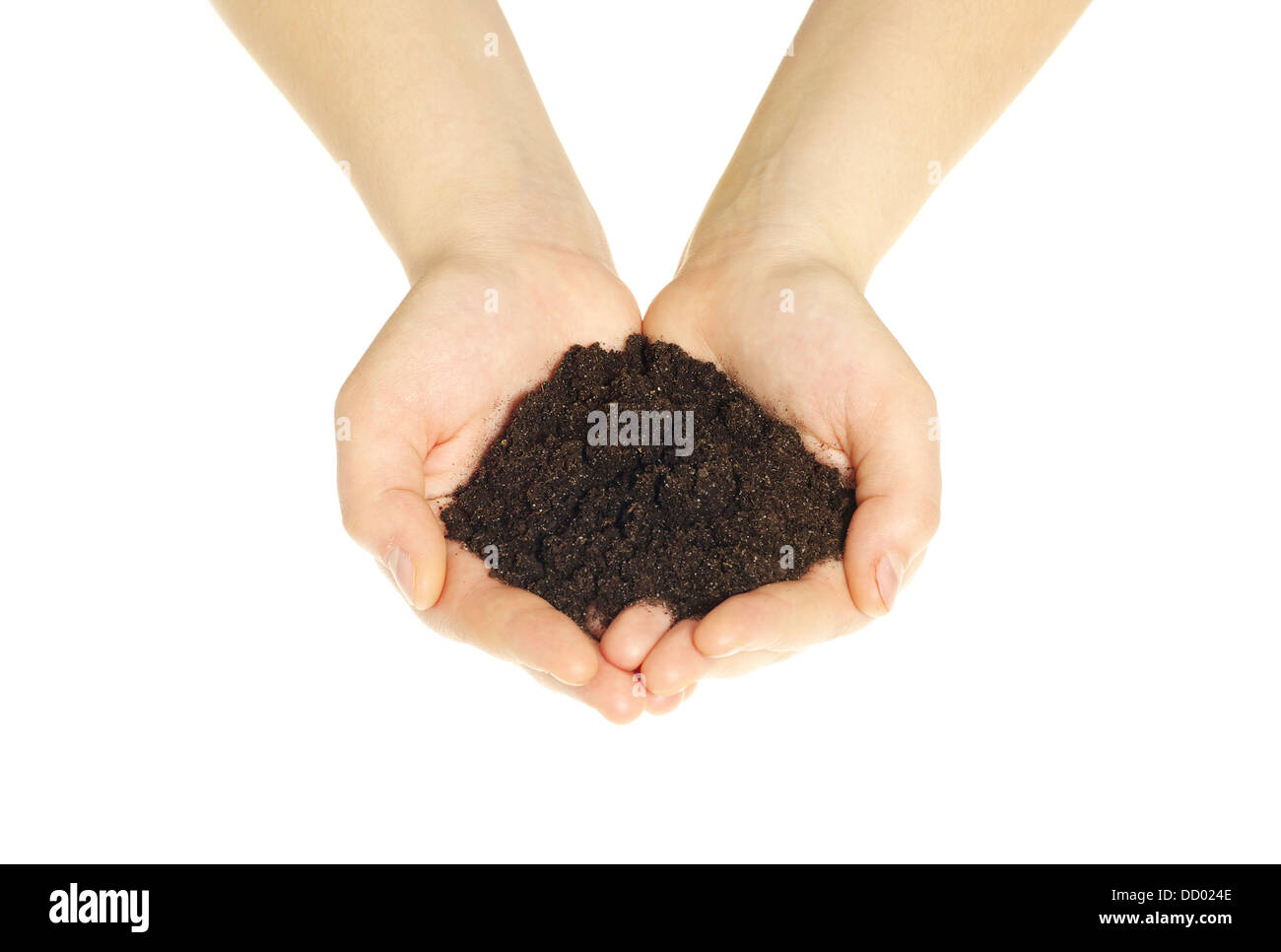 earth in hands Stock Photo