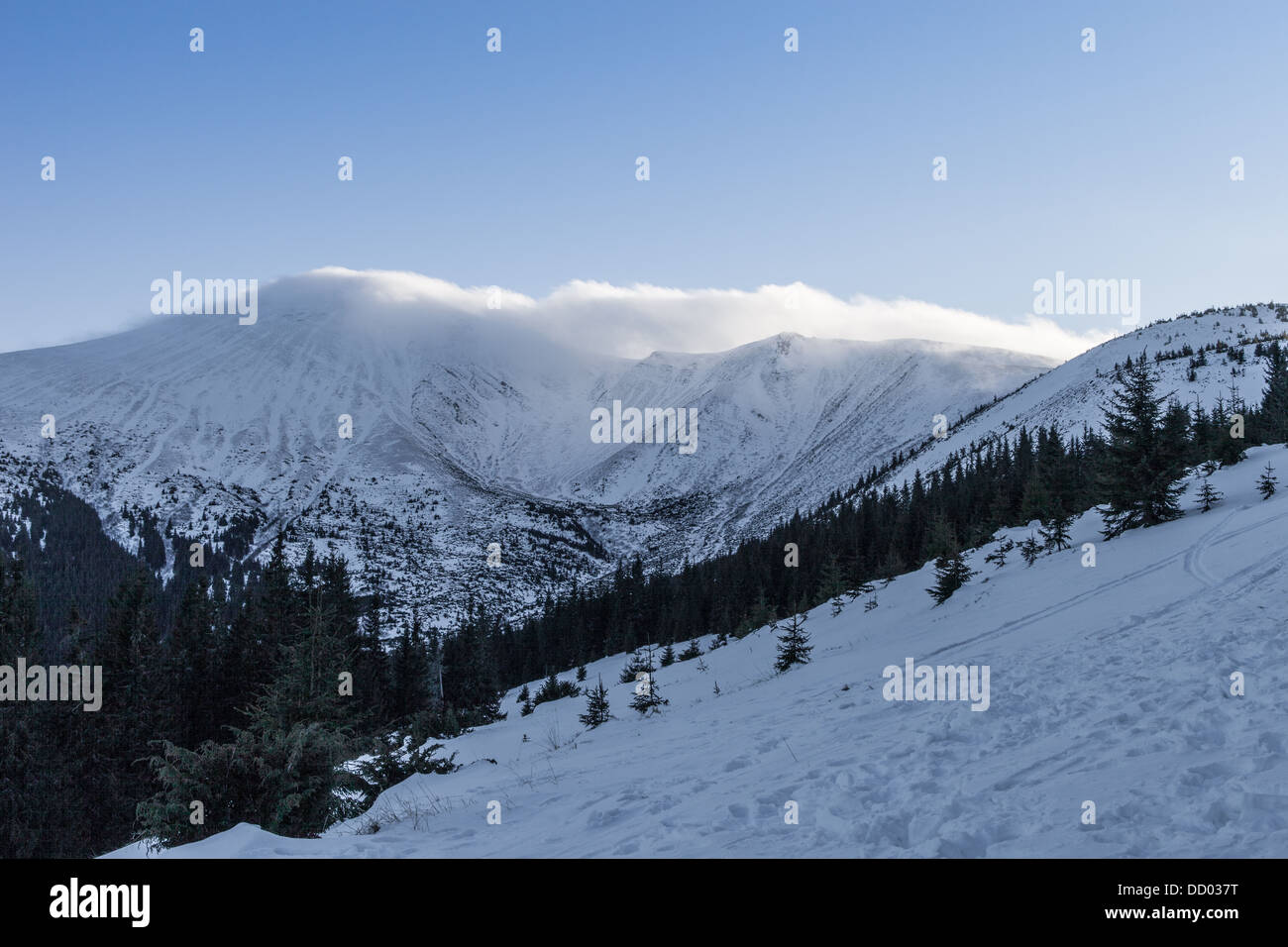 Hoverla The Highest Mountain Of Ukraine 2061 M Stock Photo Alamy hoverla-the-highest-mountain-of-ukraine-2061-m-stock-photo-alamy