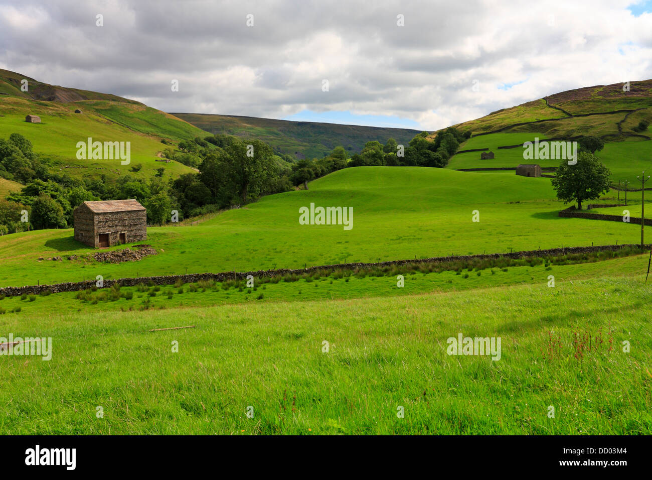Field barn by the Pennine Way and Coast to Coast long distance route through Keld, Swaledale, North Yorkshire, Yorkshire Dales National Park, England. Stock Photo