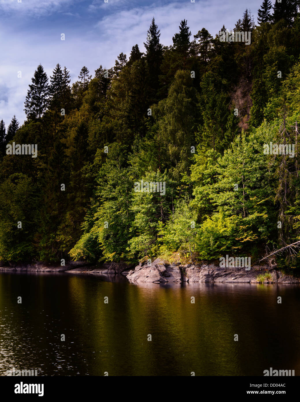 Woodland scene along the shores of Farris lake, Vestfold, Norway. Stock Photo