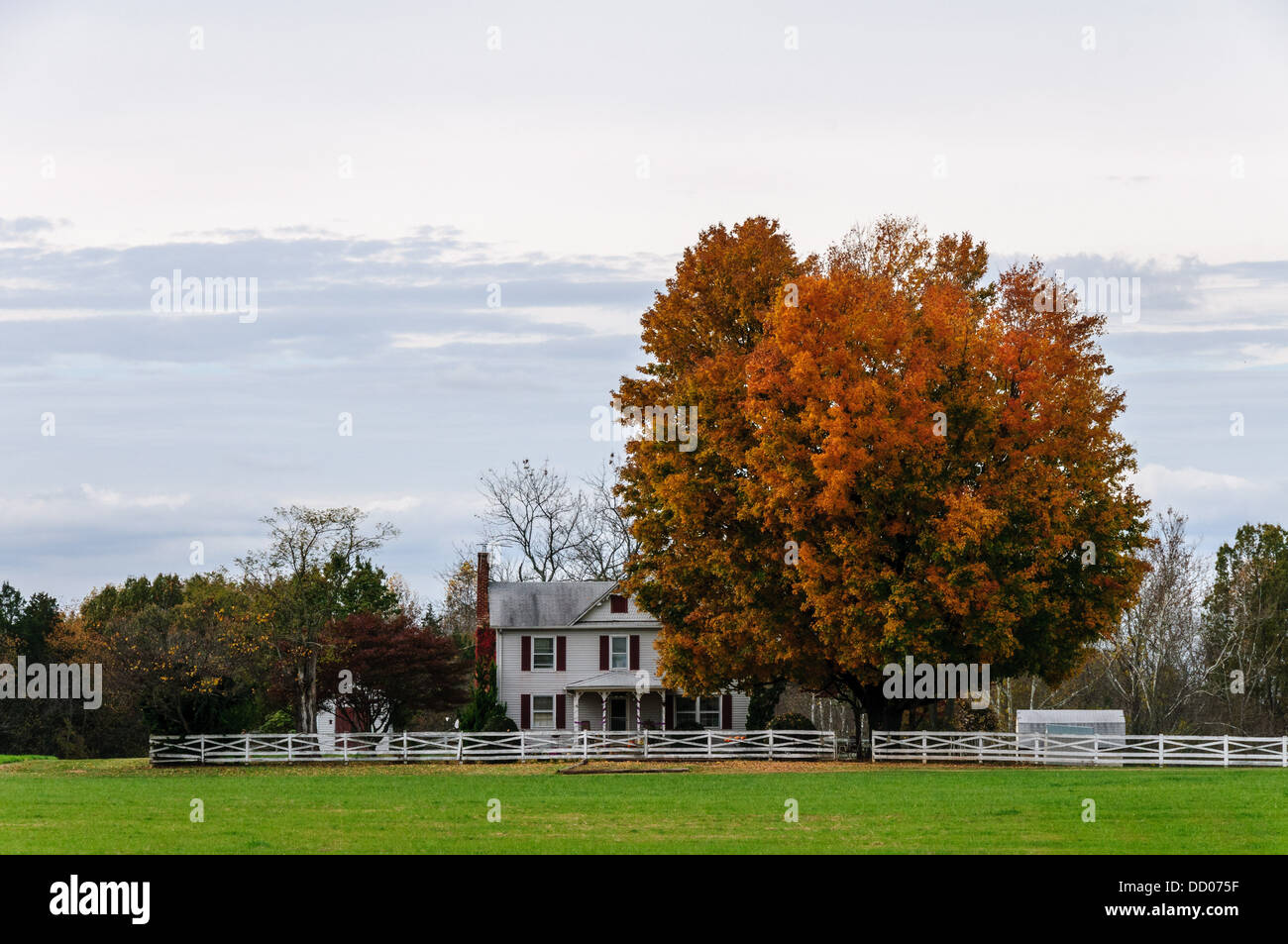 Fauquier houses hires stock photography and images Alamy