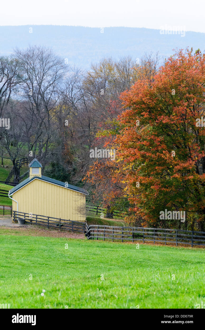 Yellow stables and Fall colors, Fauquier County, Virginia Stock Photo