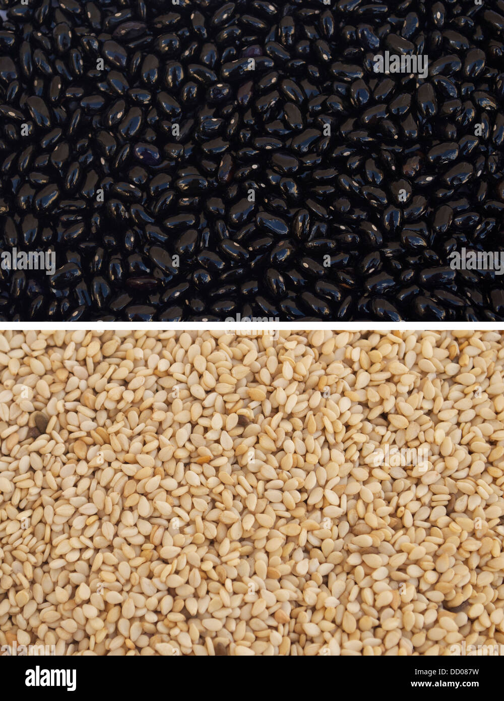 A composition of Black Beans at the top and Sesame Seeds at the bottom
