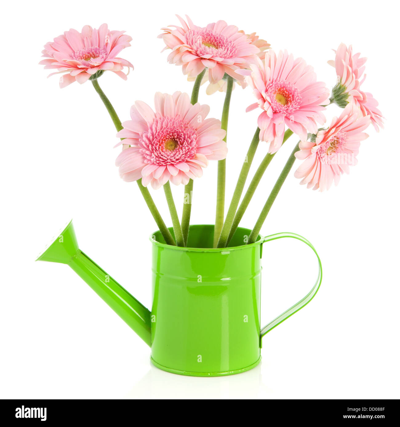 Watering can with flowers Cut Out Stock Images & Pictures Alamy