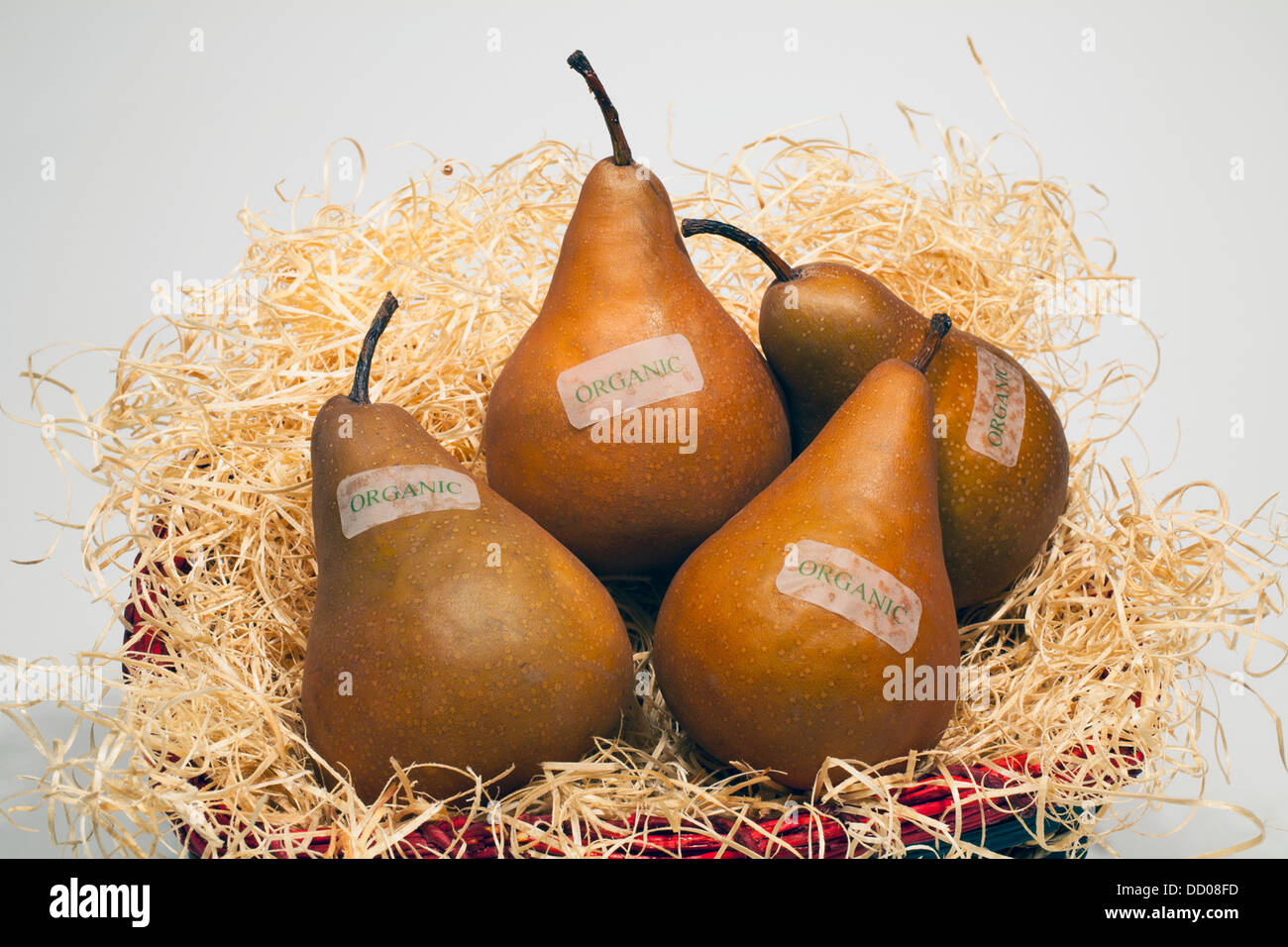 Bosch Pears In A Basket With Organic Labels; Waterloo, Quebec, Canada Stock Photo