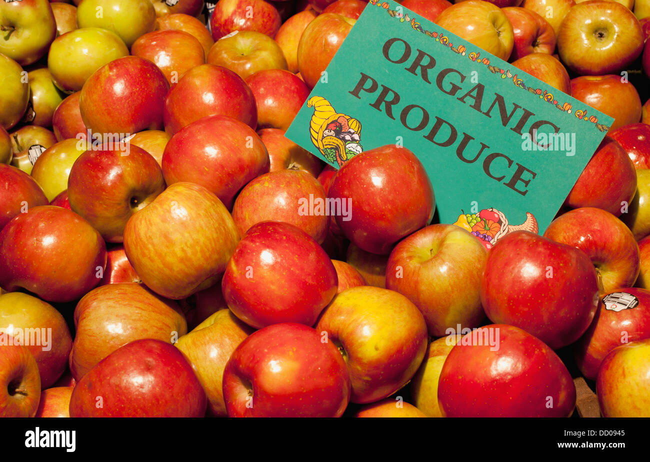 Macintosh Apples With A Sign Labeled Organic Produce; Waterloo, Quebec