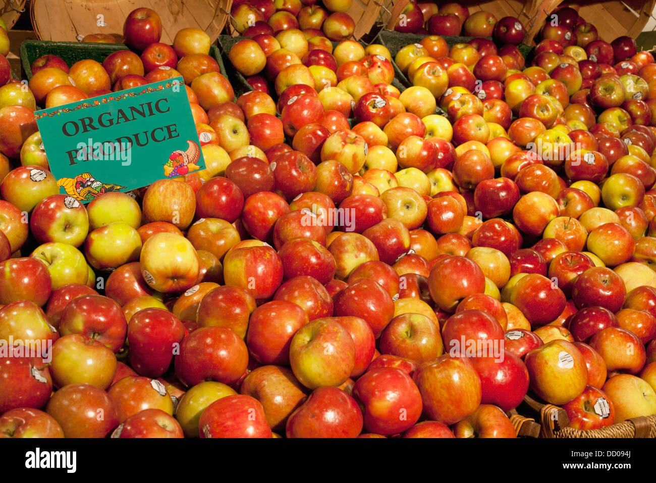 Macintosh Apples With A Sign Labeled Organic Produce; Waterloo, Quebec