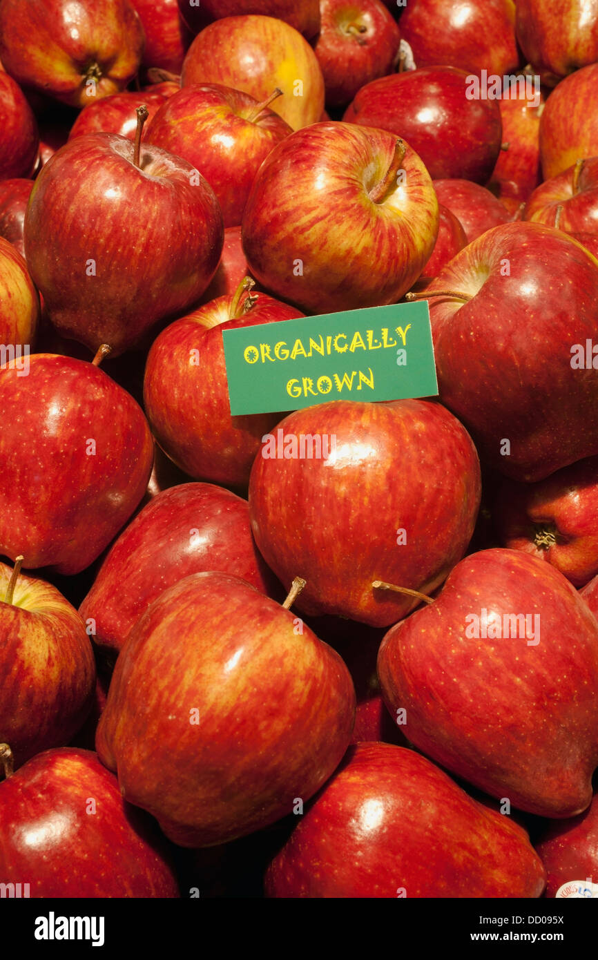 Red Delicious Apples With A Sign Labeled Organically Grown; Waterloo