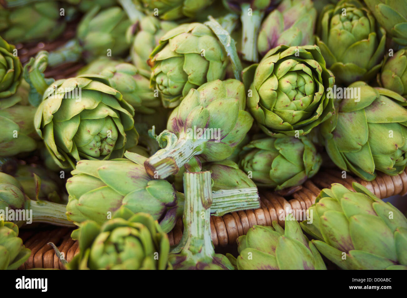 Green day berkeley hires stock photography and images Alamy