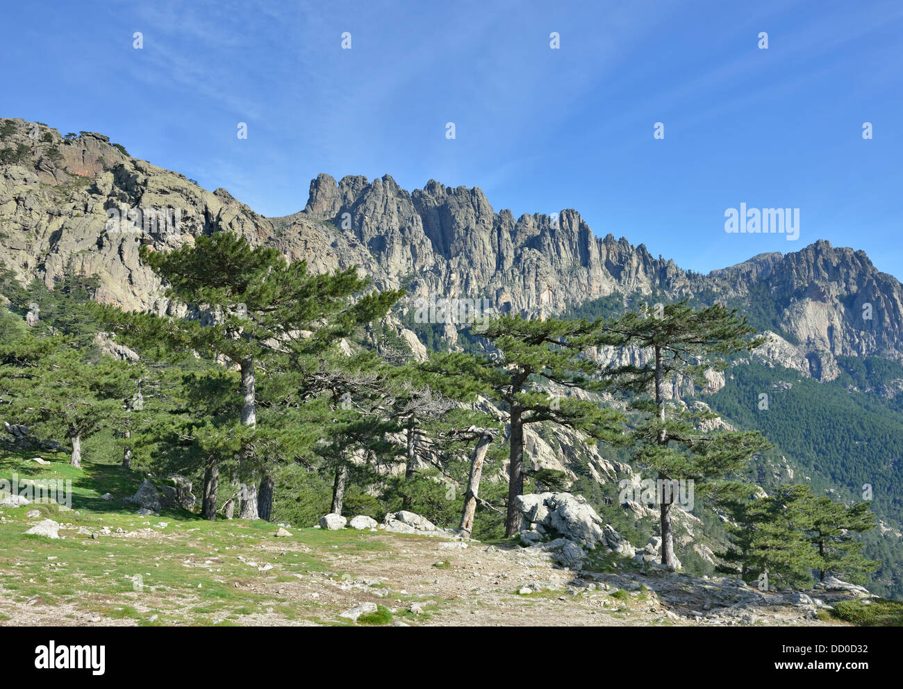 Alta Roca Mountain landscape at Bavella Pass, Alta Rocca Region, Corsica, France ...
