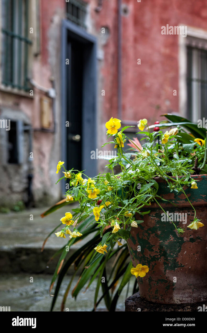 Monterosso al mar hi-res stock photography and images - Alamy