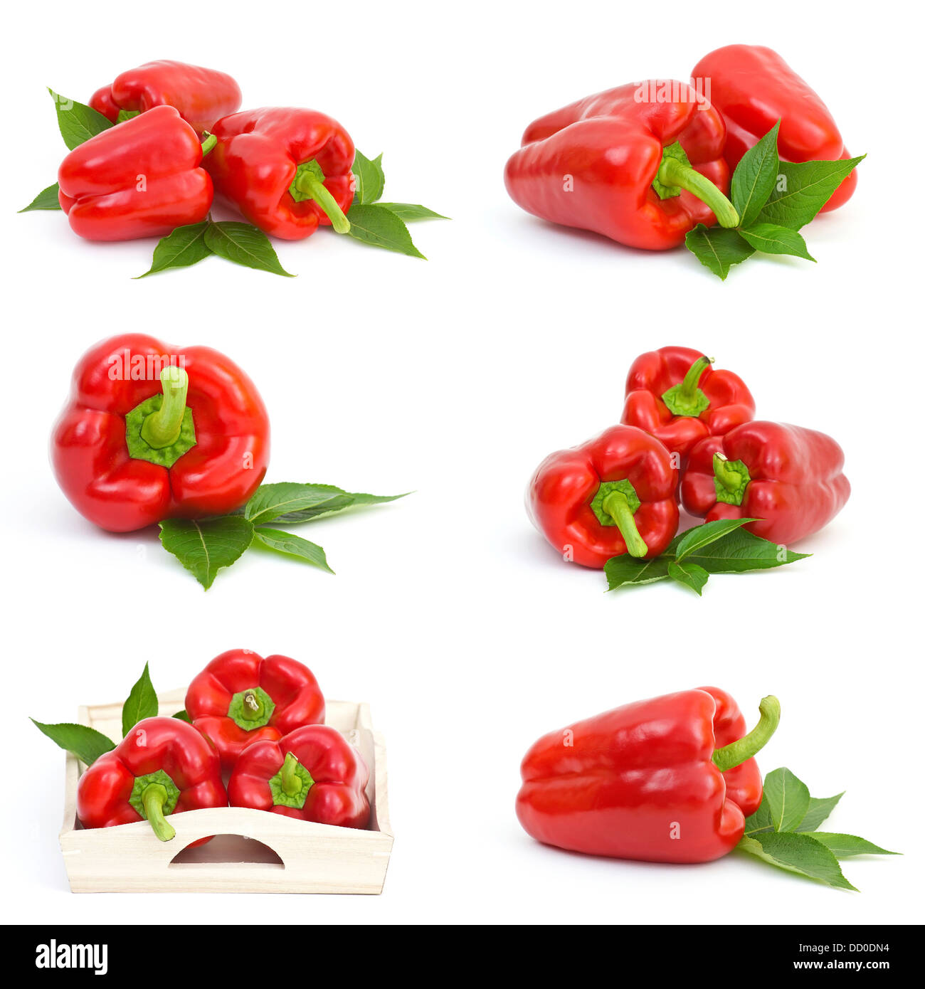 collection of pepper fruits Stock Photo Alamy