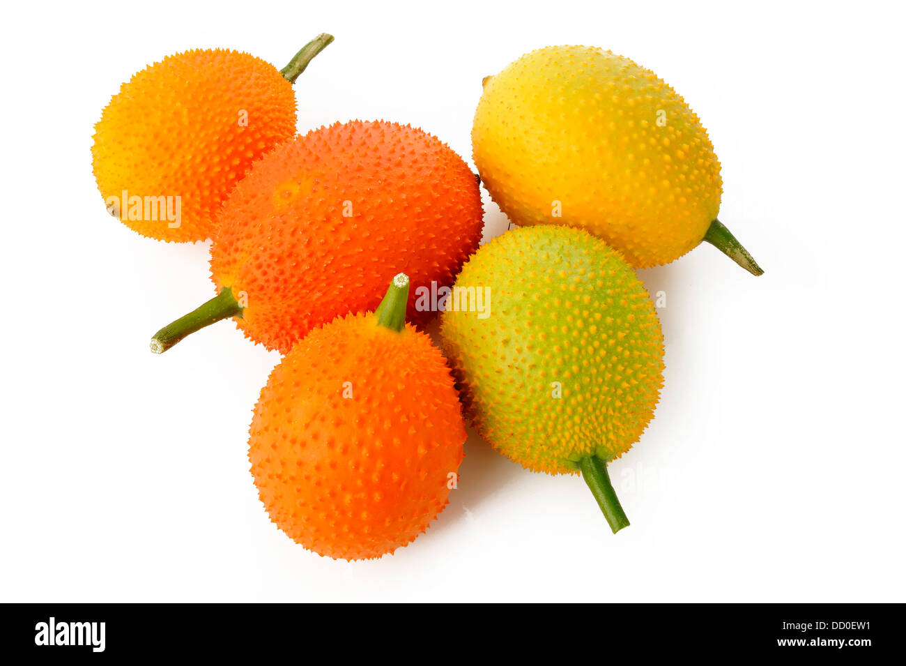 sweet gourd on white background Stock Photo - Alamy
