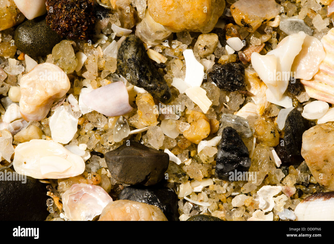 Macro photo of the sand at  beach on praia Grande, Sao Sebastiao, shore of sao paulo state, Brazil Stock Photo