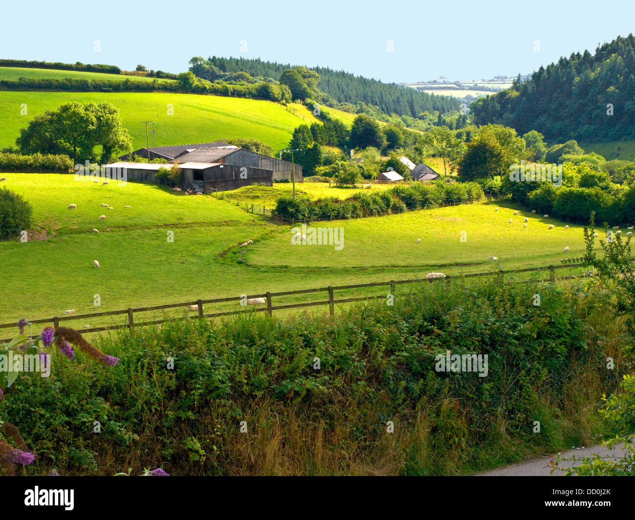 Molland, Devon, England Stock Photo - Alamy