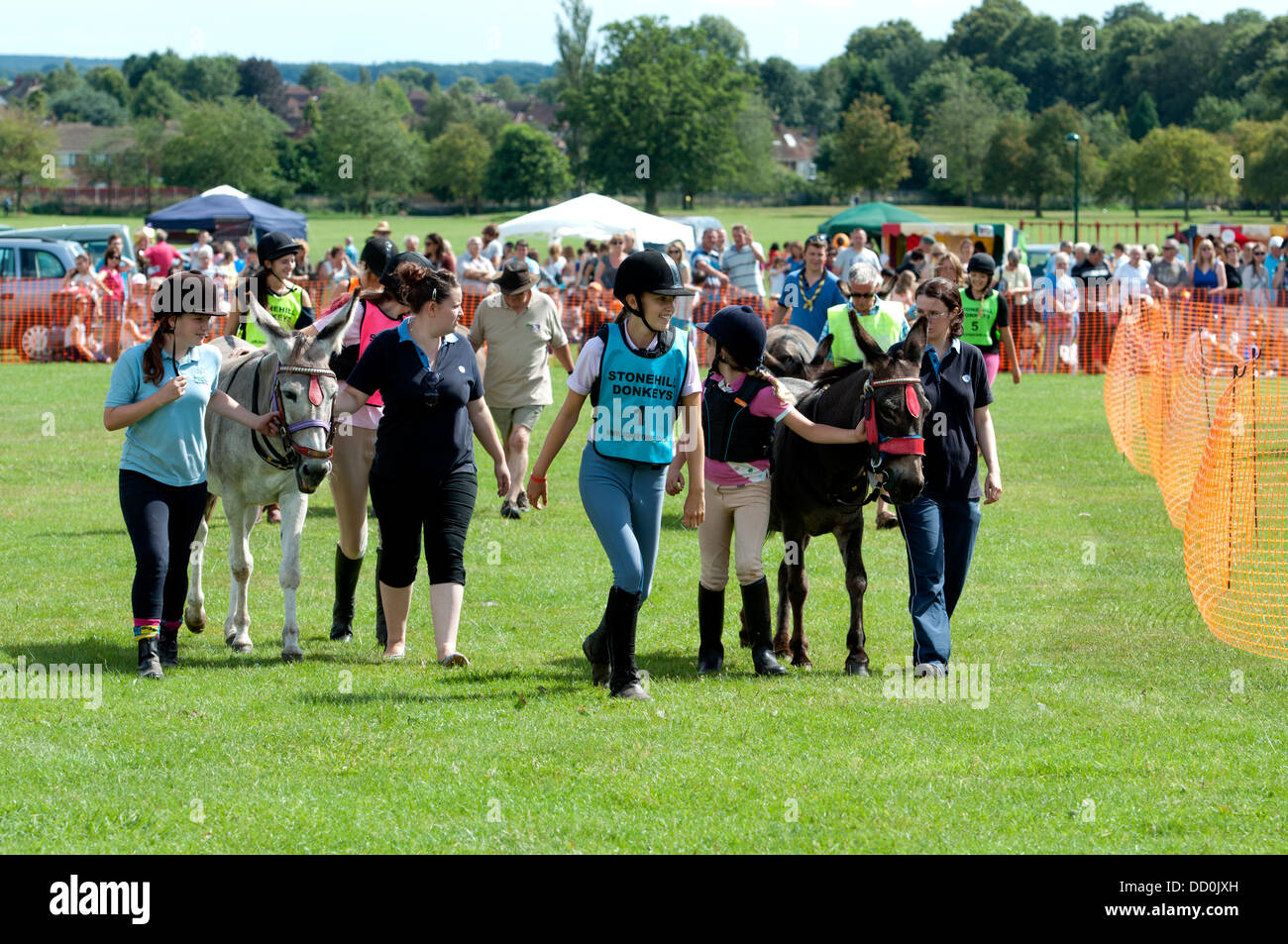 Donkey Races High Resolution Stock Photography and Images - Alamy