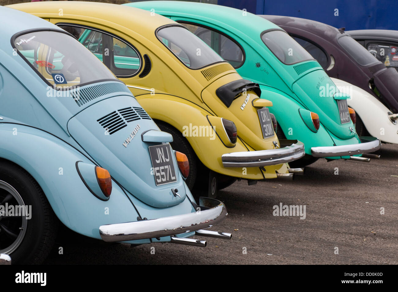 A Row of Volkswagen Beetles at Santa pod Raceway England Stock Photo