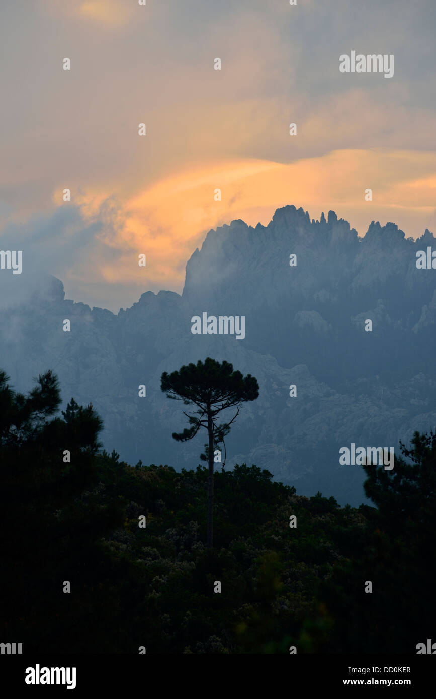 Alta Roca Alta Rocca mountains at sunset, Corsica, France Stock Photo - Alamy