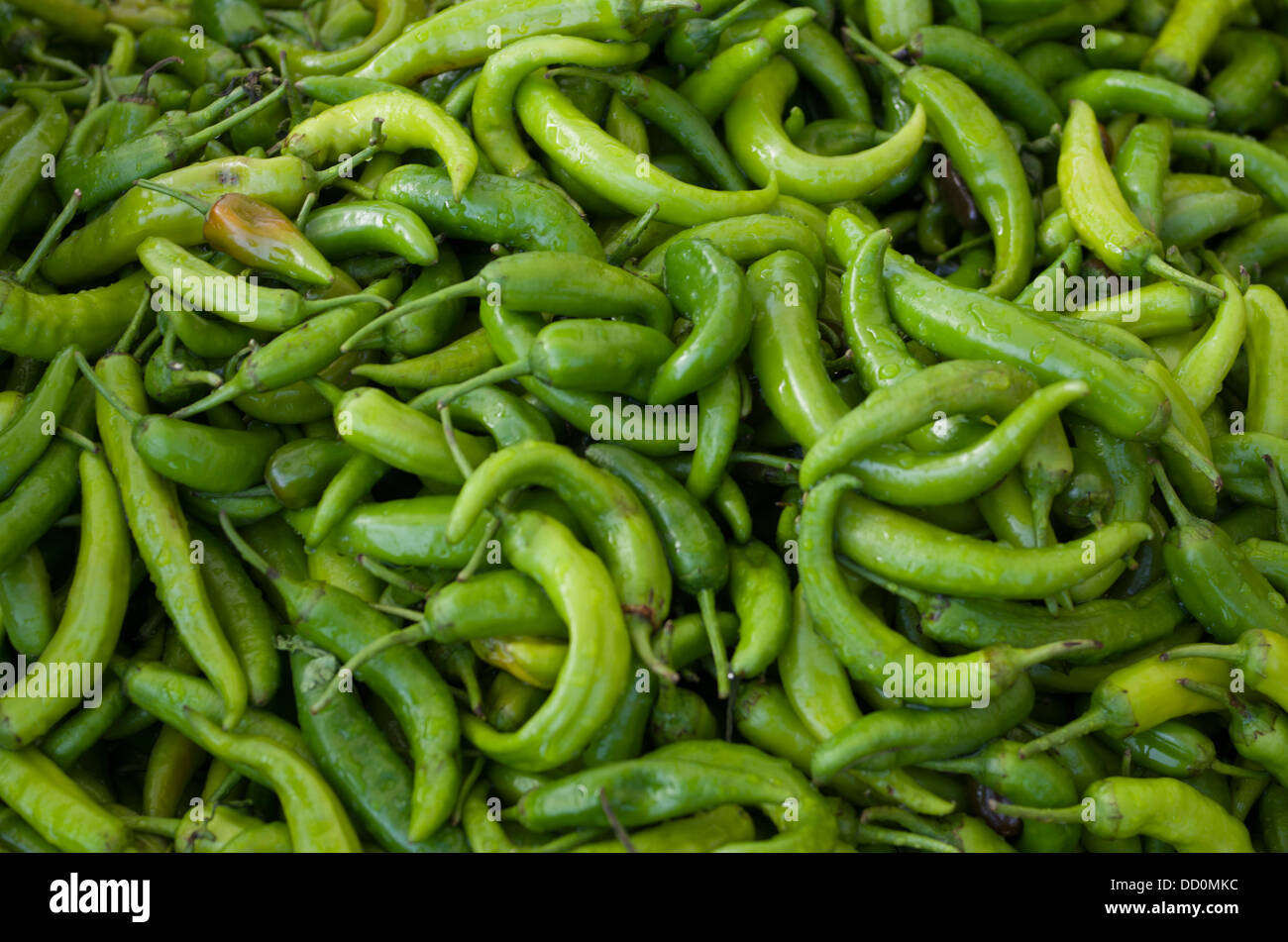 India chillie chilie peppers hires stock photography and images Alamy